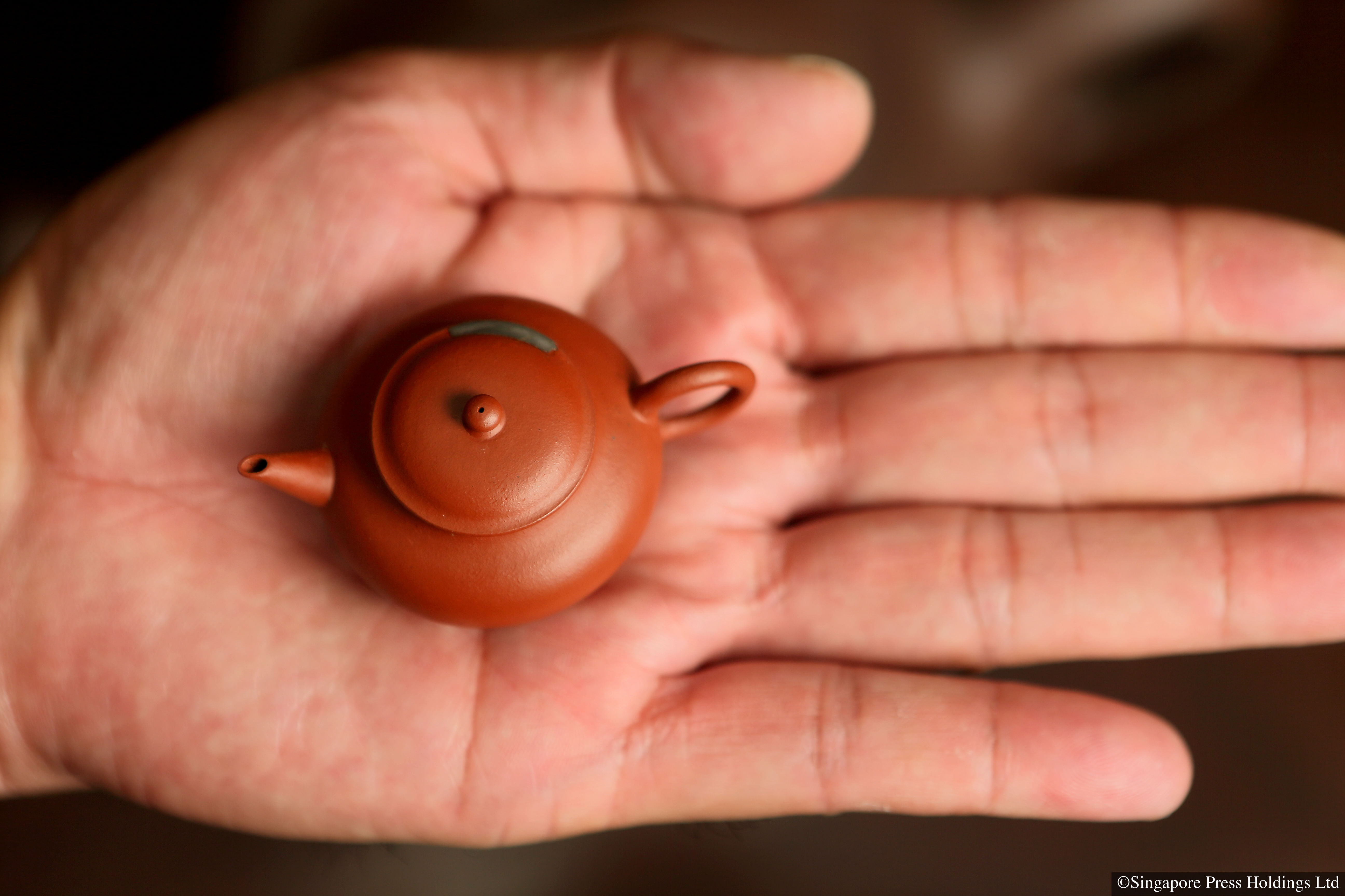 Would you buy a $200,000 teapot ? 紫砂壶藏家蔡华春舍不得嫁的女儿